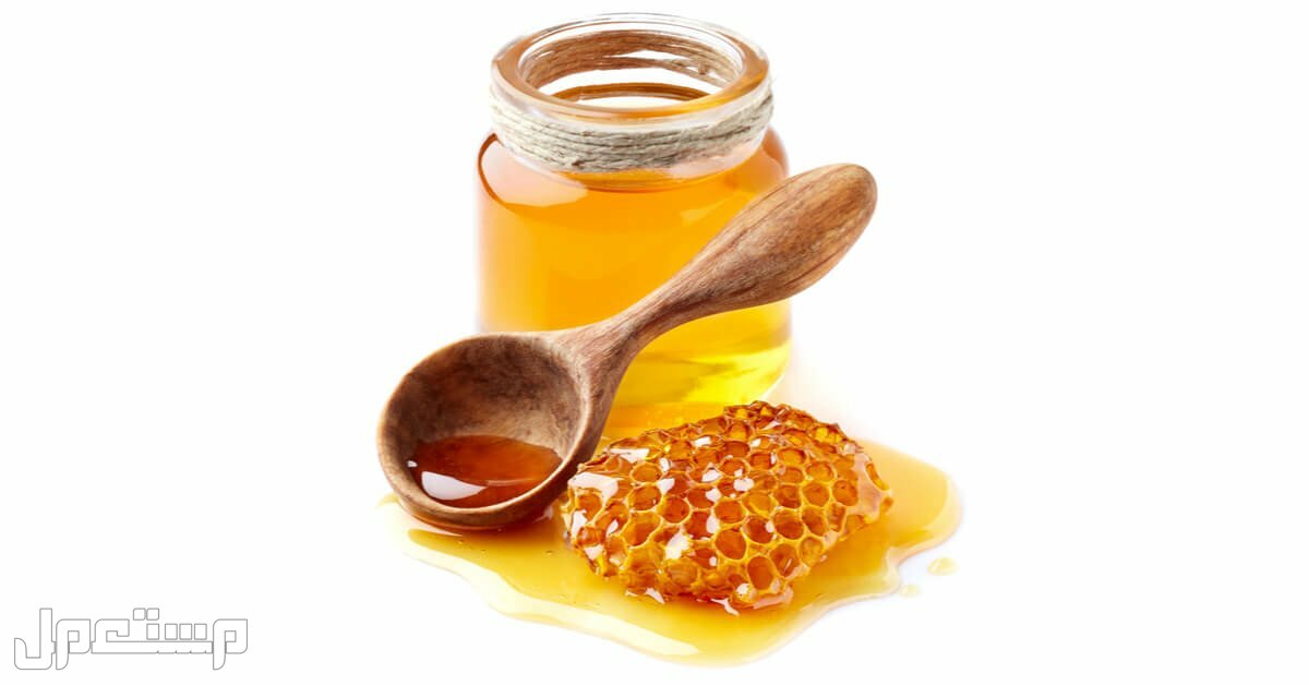 سعر عسل السدر الجبلي الأصلي 2023 في الأردن عسل السدر الأصلي