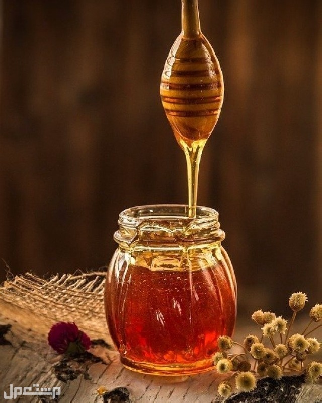 سعر عسل السدر الجبلي الأصلي 2023 في الأردن عسل سدر غامق