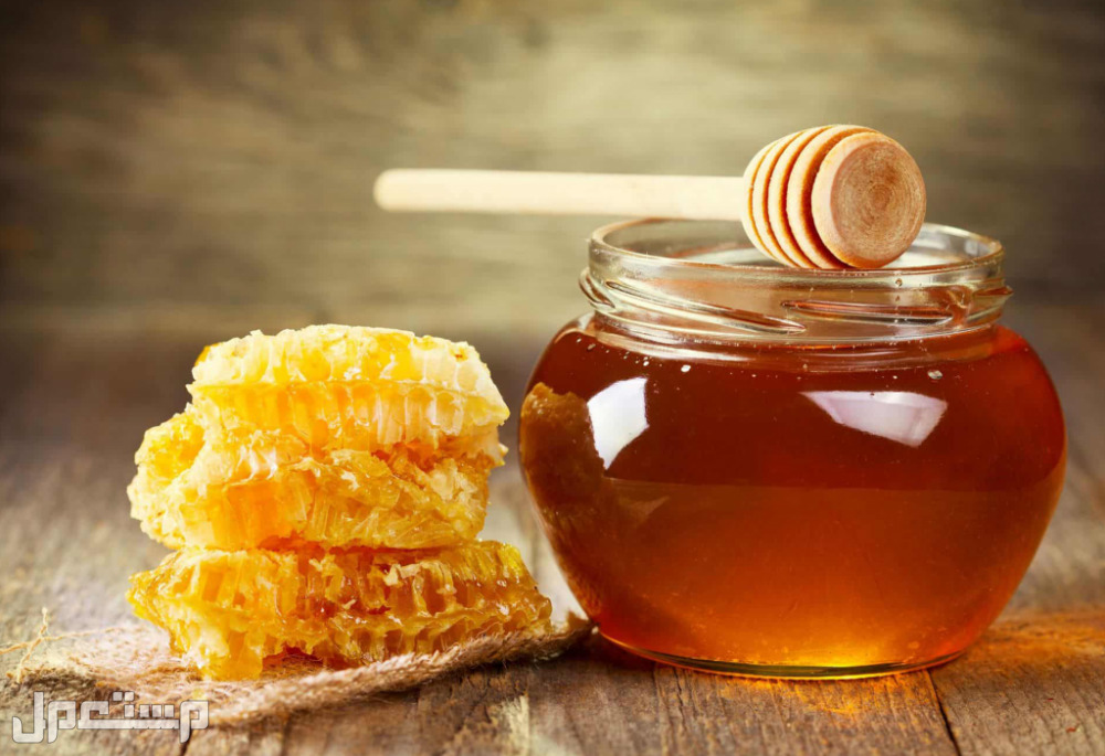 سعر عسل السدر الجبلي الأصلي 2023 في الأردن عسل جبلي
