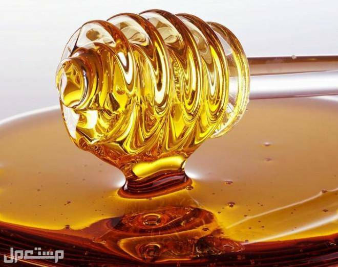 سعر عسل السدر الجبلي الأصلي 2023 في الأردن قوام عسل السدر