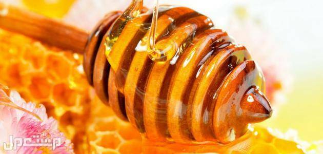 سعر عسل السدر الجبلي الأصلي 2023 في اليَمَن عسل السدر فاتح