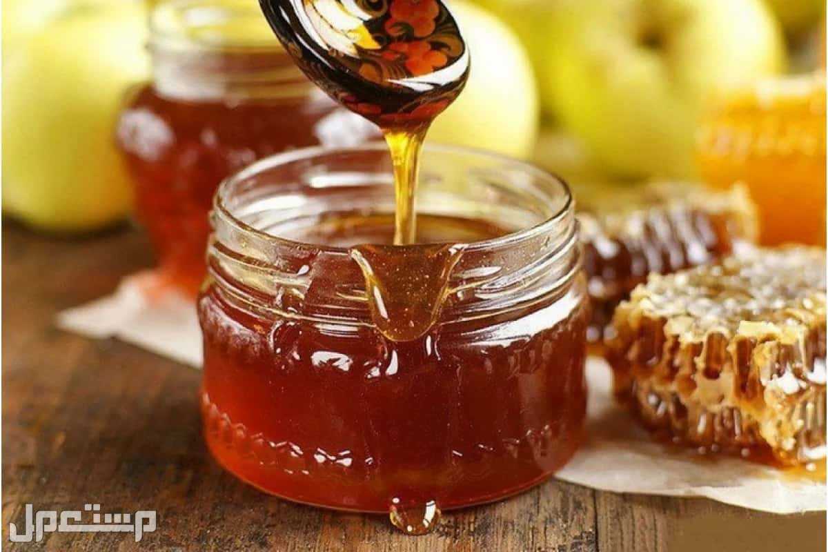سعر عسل السدر الجبلي الأصلي 2023 في الأردن عسل نحل السدر