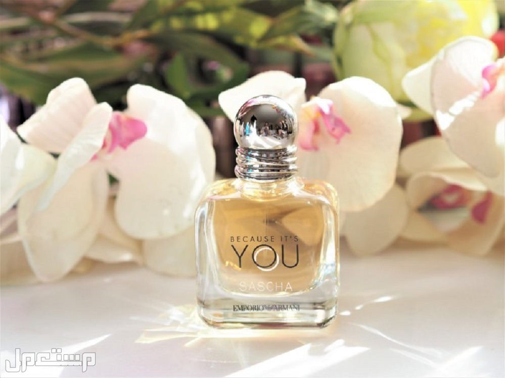 سعر عطر you المميز من جورجيو أرماني للرجال والنساء ومكوناته