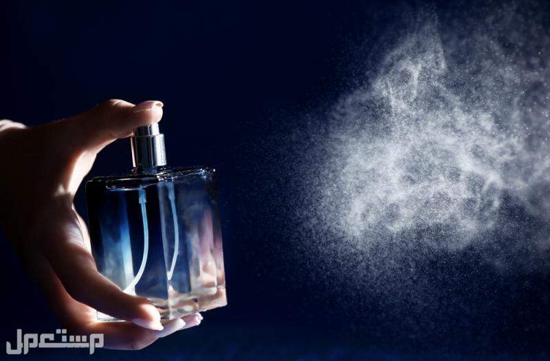 أفضل عطر ديور رجالي 2023 في الإمارات العربية المتحدة رائحة العطور الرجالية