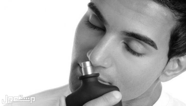 أفضل عطر ديور رجالي 2023 في الإمارات العربية المتحدة رائحة عطر جذابة