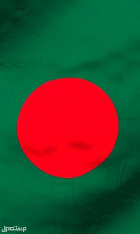 100 مليار دولار  تحويلات خارجية لبلد واحدة فقط في 2022! علم بنغلاديش