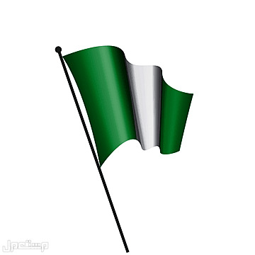 100 مليار دولار  تحويلات خارجية لبلد واحدة فقط في 2022! في الجزائر علم نيجيريا
