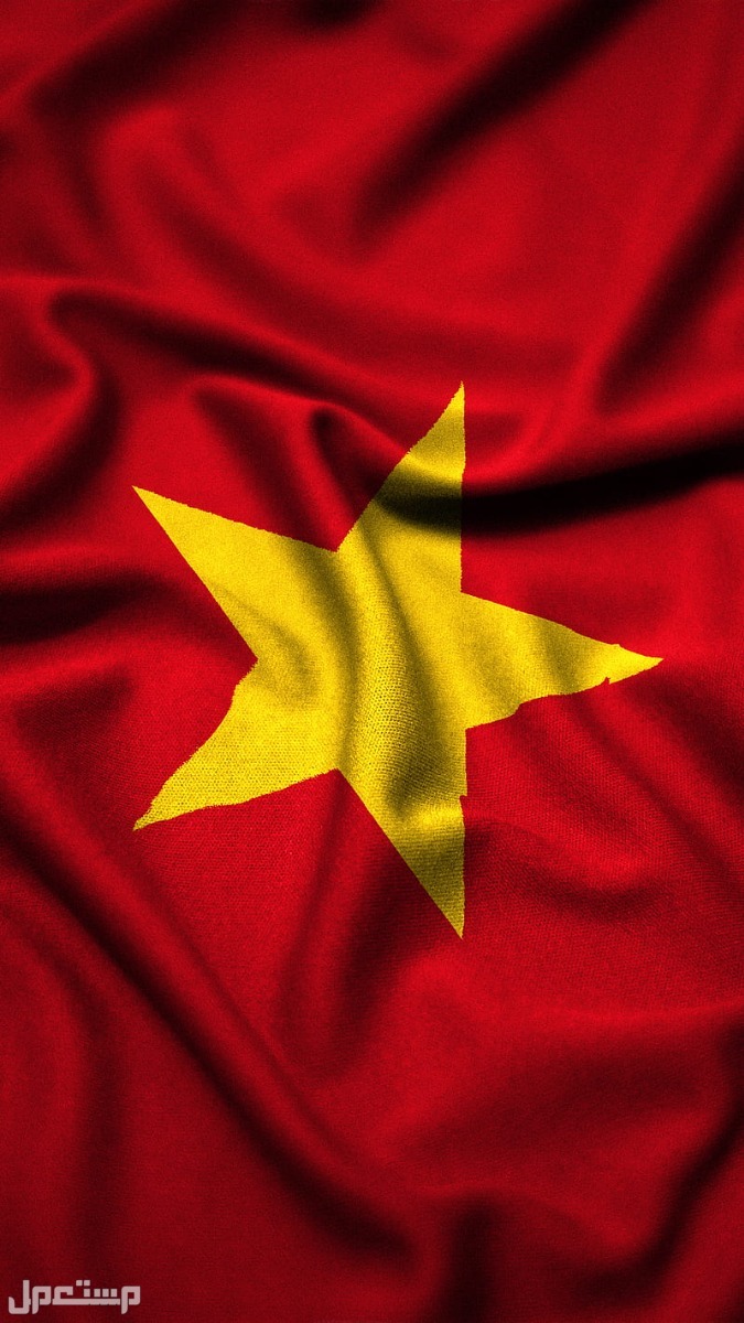 100 مليار دولار  تحويلات خارجية لبلد واحدة فقط في 2022! علم فيتنام
