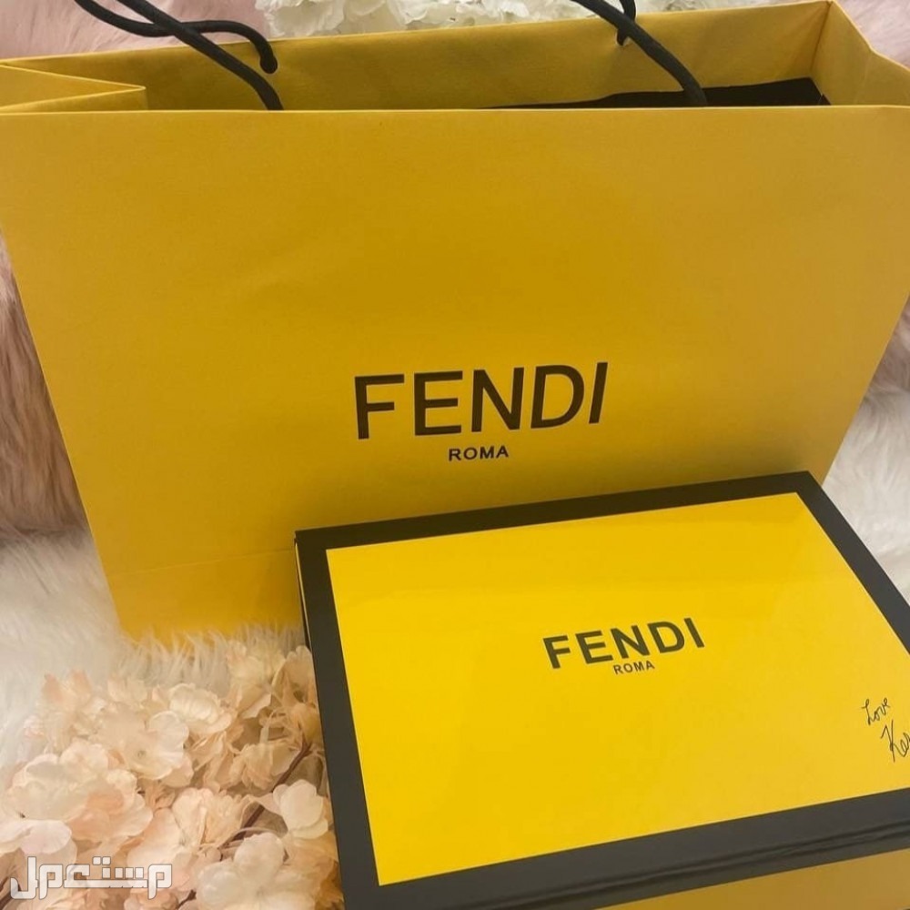 سعر شنط فندي Fendi المميزة ومواصفاتها كاملة اعرف تفاصيل حقائب فندي كبيرة