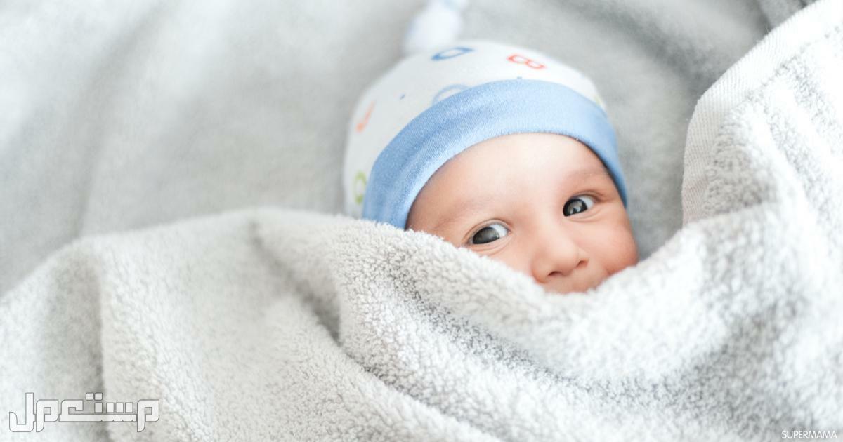 تعرّف على أفضل أنواع بطانية أطفال 2023 مع الأسعار في الإمارات العربية المتحدة البطانيات القطينة