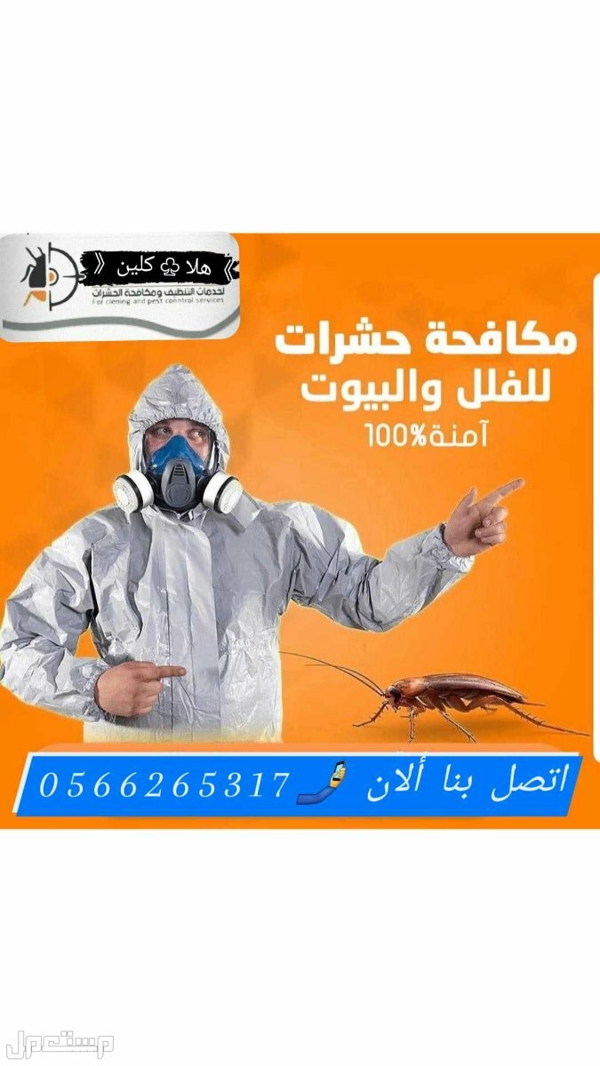 شركة رش حشرات بالمدينة المنورة بافضل مواد شركة مكافحه الحشرات في المدينة المنورة