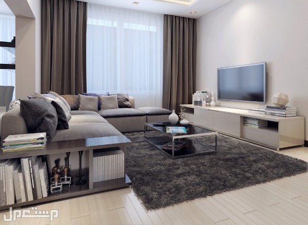 أسس تصميم غرفة المعيشة بصورة مودرن ومفعمة بالحياة شكل تصميم غرفة المعيشة