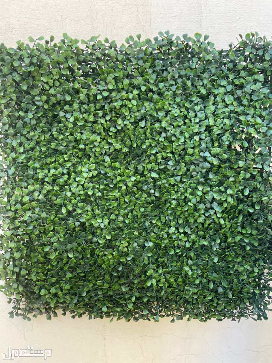 عشب جداري فاخر للبيع في المدينة