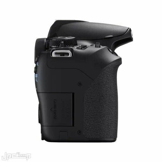 كاميرا كانون EOS 250D الأخف وزنا.. المواصفات والصور والأسعار كاميرا كانون EOS 250D