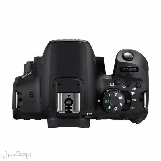 كاميرا كانون EOS 250D الأخف وزنا.. المواصفات والصور والأسعار كاميرا كانون EOS 250D