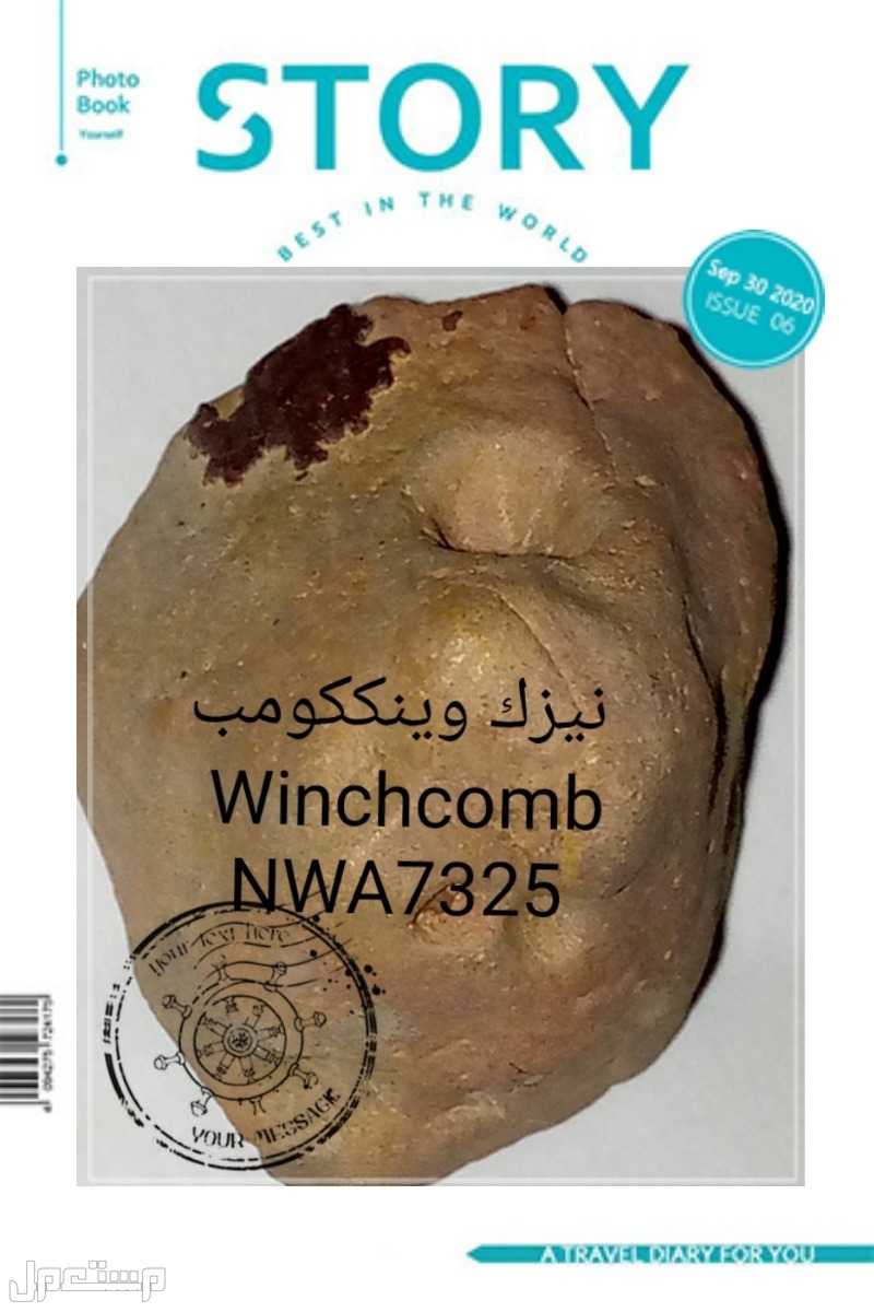 نيزك Winchcomb meteorite NWA7325 نيزك وينككومب Winchcomb NWA7325