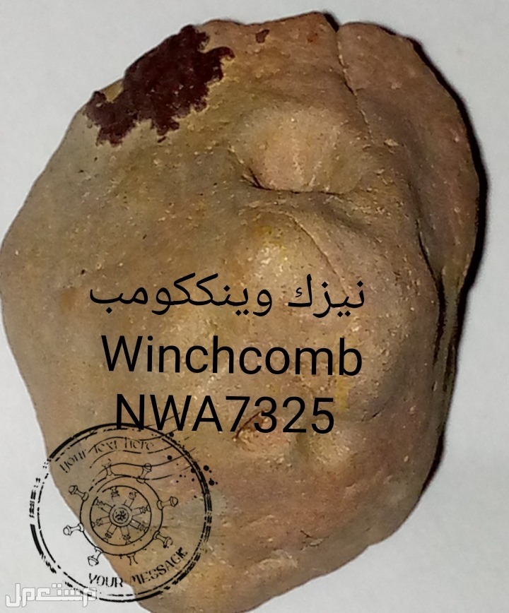 نيزك Winchcomb meteorite NWA7325
