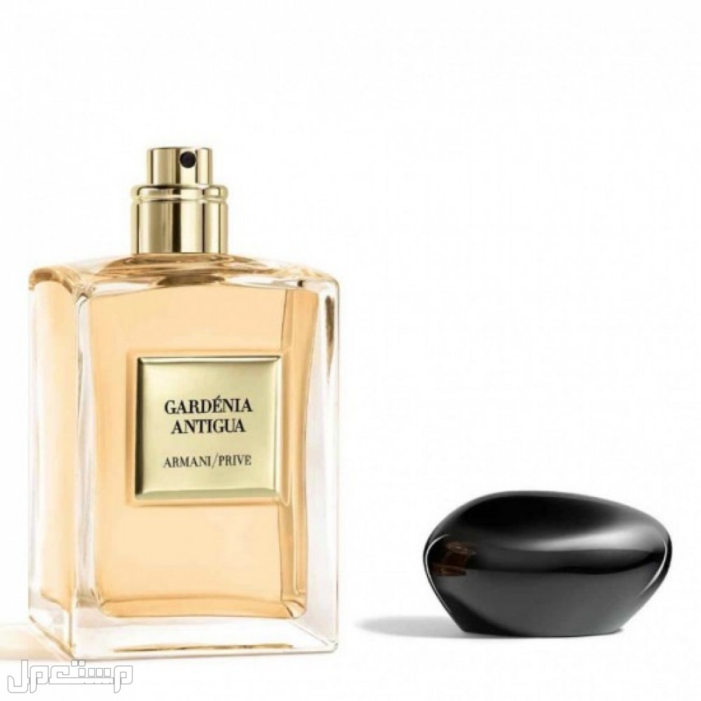 أنواع عطور ارماني الرجالية والنسائية عطر  gardenia antigue