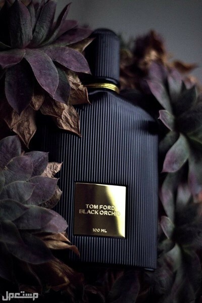 أفضل عطور توم فورد النسائية تورم فورد