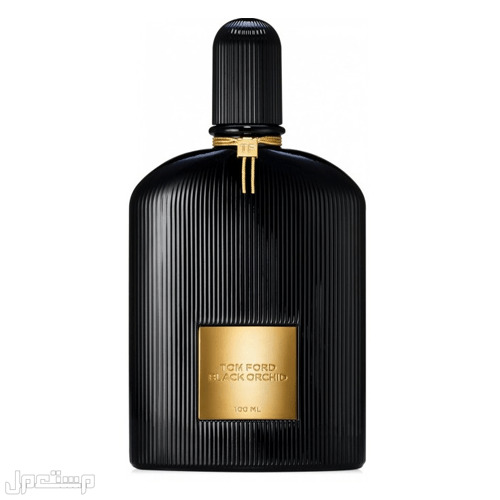 أفضل عطور توم فورد النسائية عبوة عطر تورم فورد