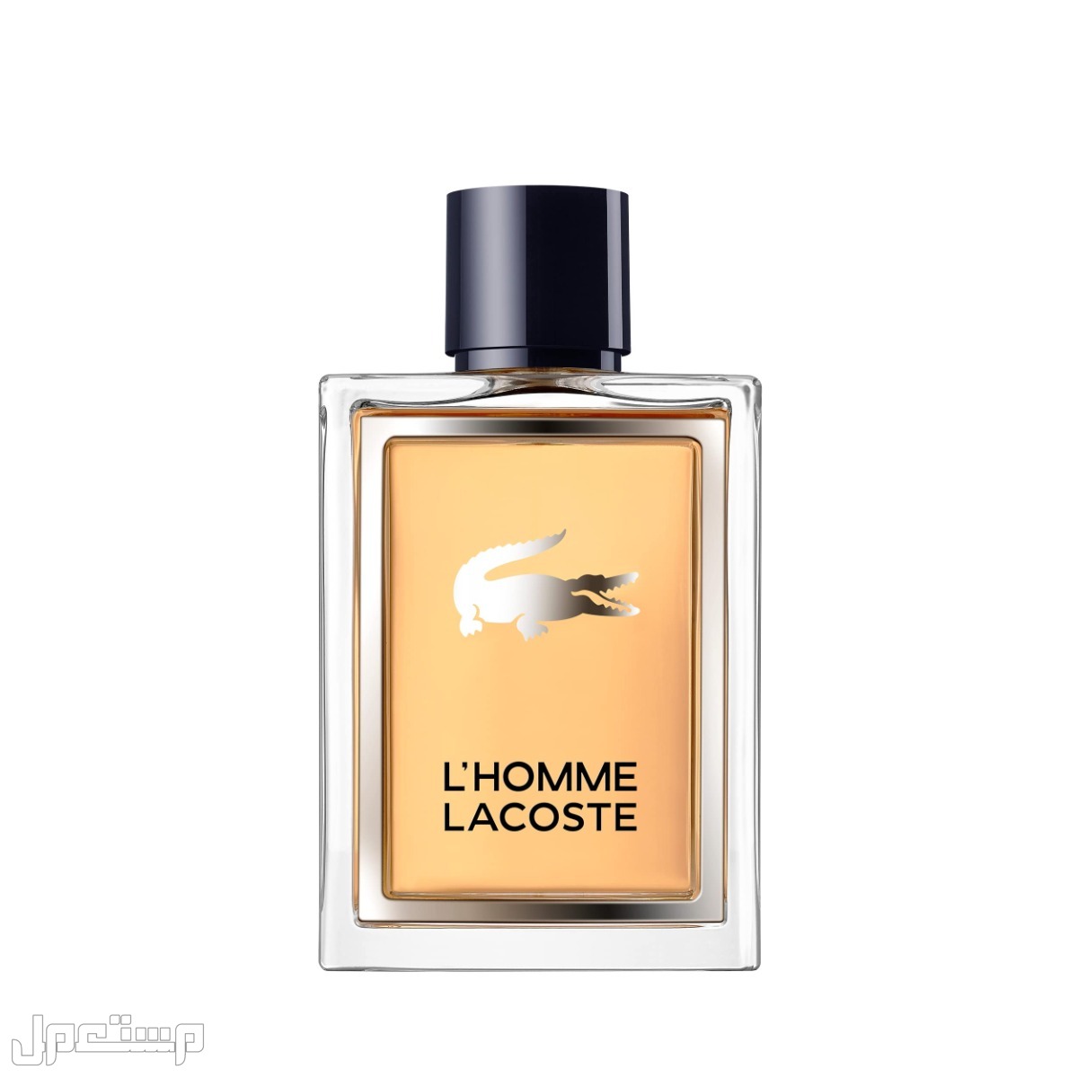 مميزات عطور لاكوست الرجالية ومكوناتها زجاجة عطر L’Homme