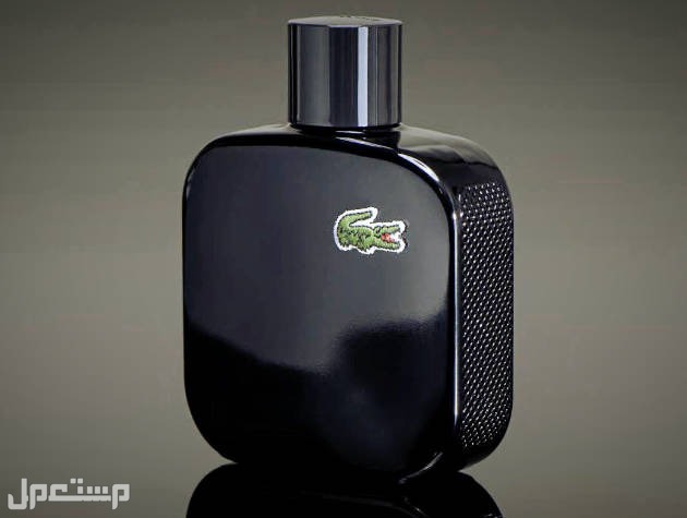 مميزات عطور لاكوست الرجالية ومكوناتها تفاصيل تصميم زجاجة عطر لاكوست