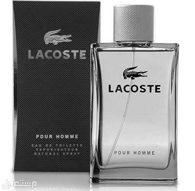 مميزات عطور لاكوست الرجالية ومكوناتها عطر pour homme