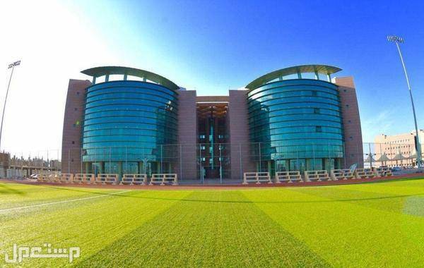 جامعة جازان وظائف أكاديمية شاغرة للجنسين 1444 في الإمارات العربية المتحدة