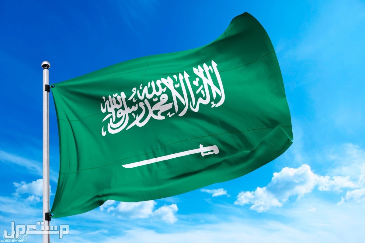 تفاصيل يوم العلم السعودي وهل سيحصل طلاب المدارس على إجازة رسمية؟ العلم السعودي