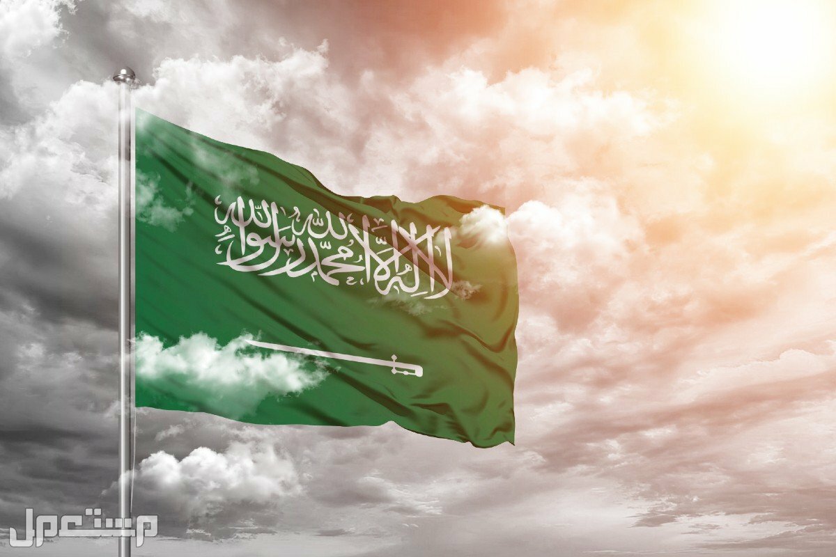 تفاصيل يوم العلم السعودي وهل سيحصل طلاب المدارس على إجازة رسمية؟ علم السعودية