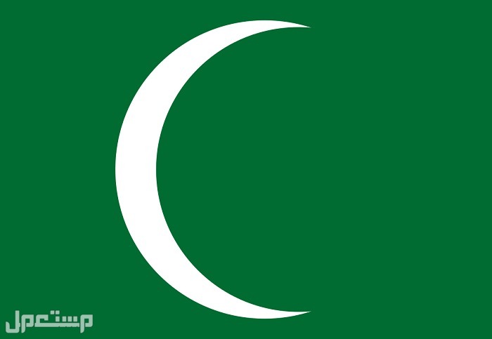 يوم العلم: بالصور مراحل تطور العلم السعودي طوال 3 قرون علم إمارة الدرعية
