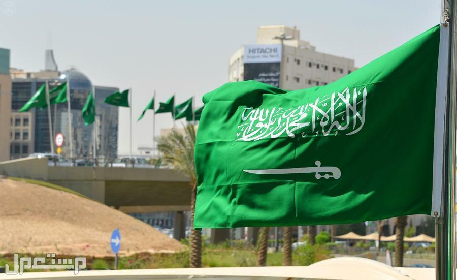 هل يوم العلم السعودي اجازة رسمية؟.. إليكم التفاصيل في مصر