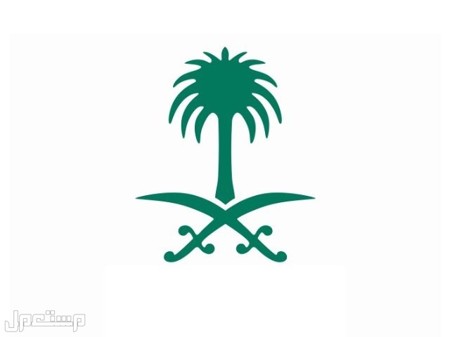 هل يوم العلم السعودي اجازة رسمية؟.. إليكم التفاصيل السيف