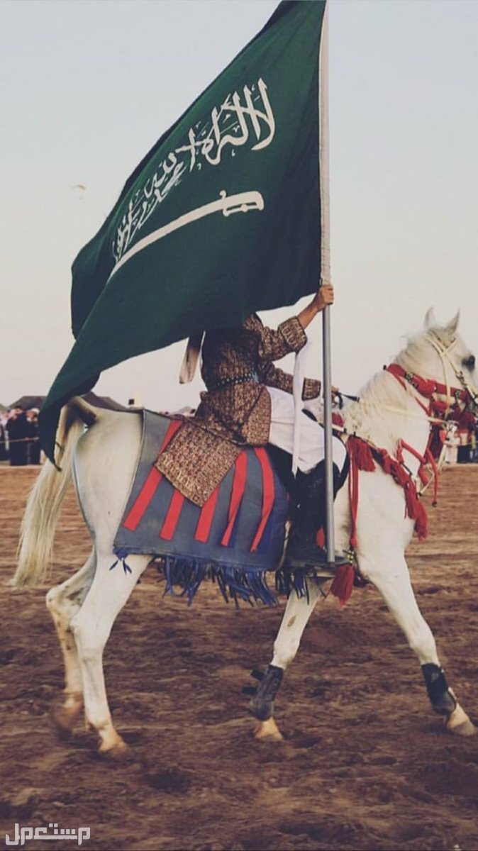 جدول فعاليات الاحتفال بيوم العلم السعودي في المدارس وإدارات التعليم في السودان