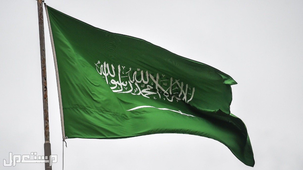 جدول فعاليات الاحتفال بيوم العلم السعودي في المدارس وإدارات التعليم في السعودية العلم السعودي