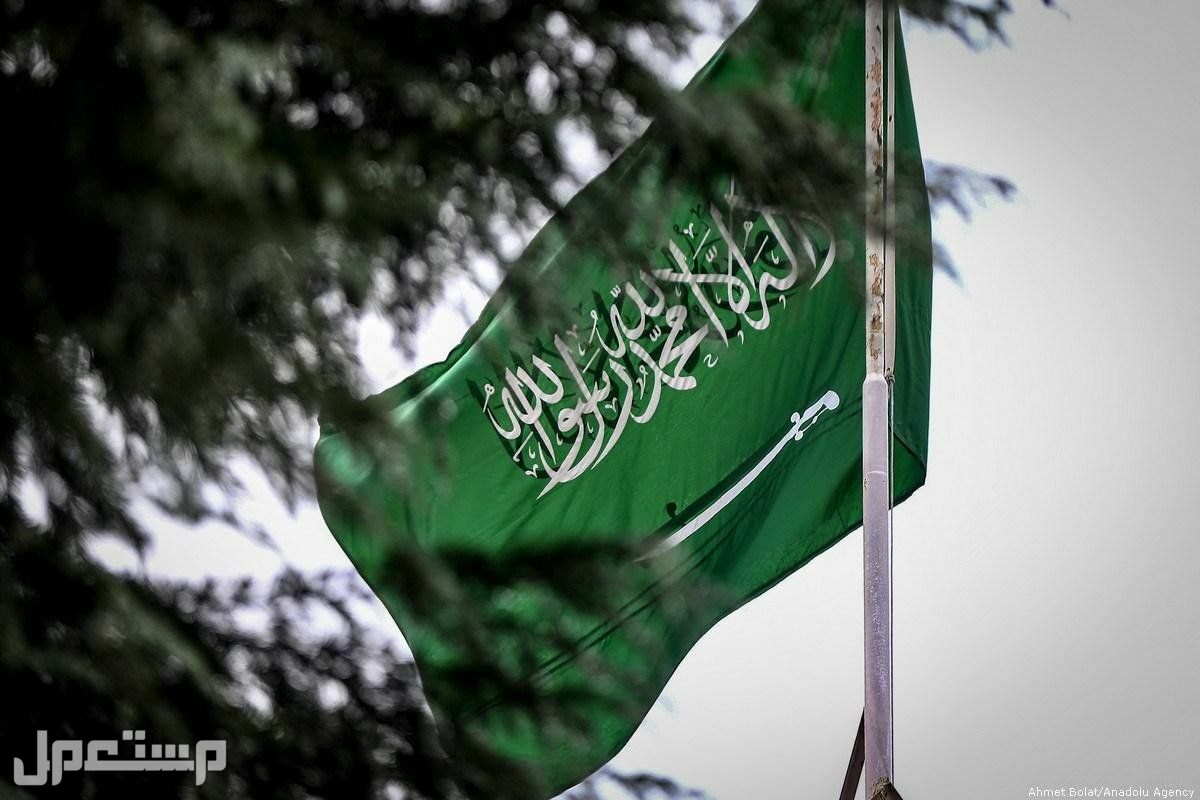 موضوع تعبير عن يوم العلم السعودي وأهميته وأسباب الاحتفال به في الأردن علم السعودية