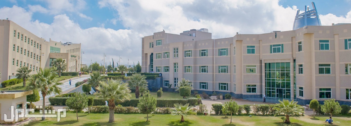جامعة الملك خالد توضح سبب تعليق الدراسة الحضورية بجميع الكليات وتحويلها إلى البلاك بورد في جيبوتي