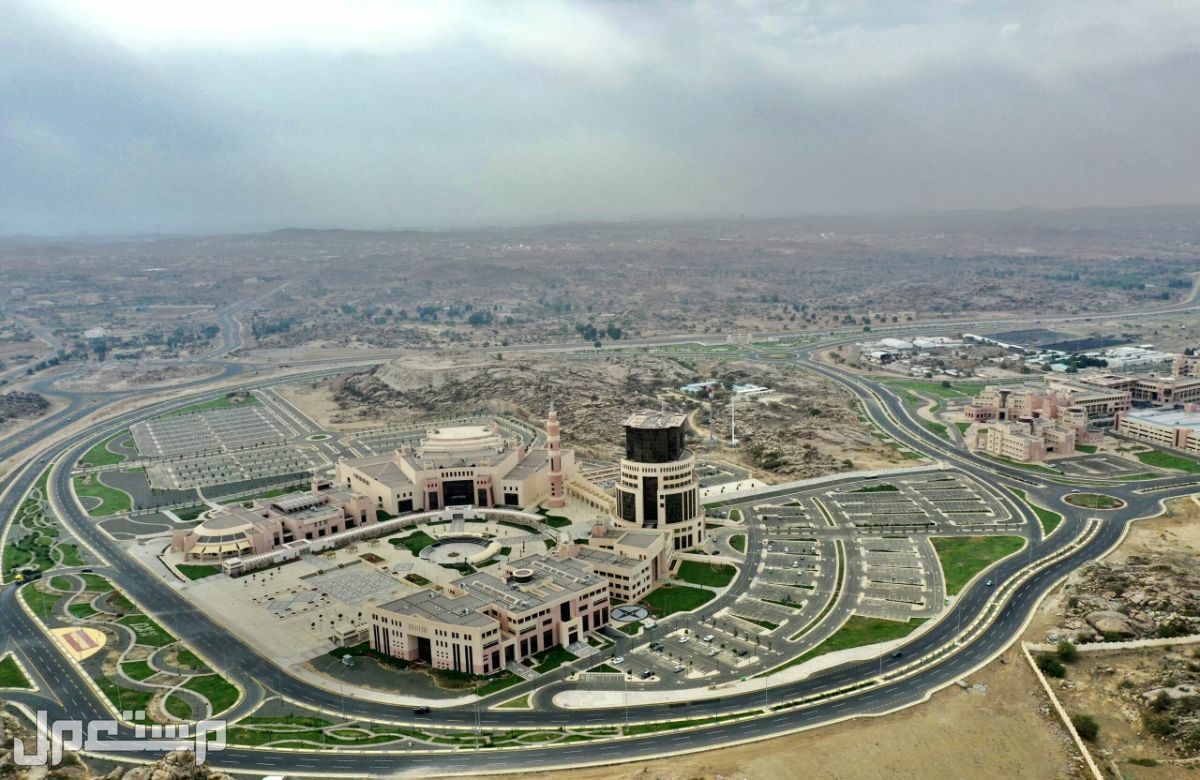 جامعة الملك خالد توضح سبب تعليق الدراسة الحضورية بجميع الكليات وتحويلها إلى البلاك بورد في الإمارات العربية المتحدة موقع جامعة الملك خالد
