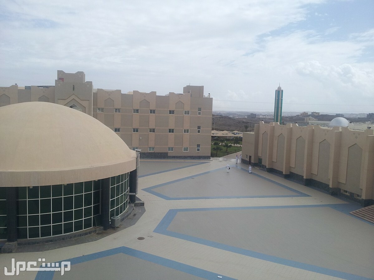 جامعة الملك خالد توضح سبب تعليق الدراسة الحضورية بجميع الكليات وتحويلها إلى البلاك بورد في الكويت