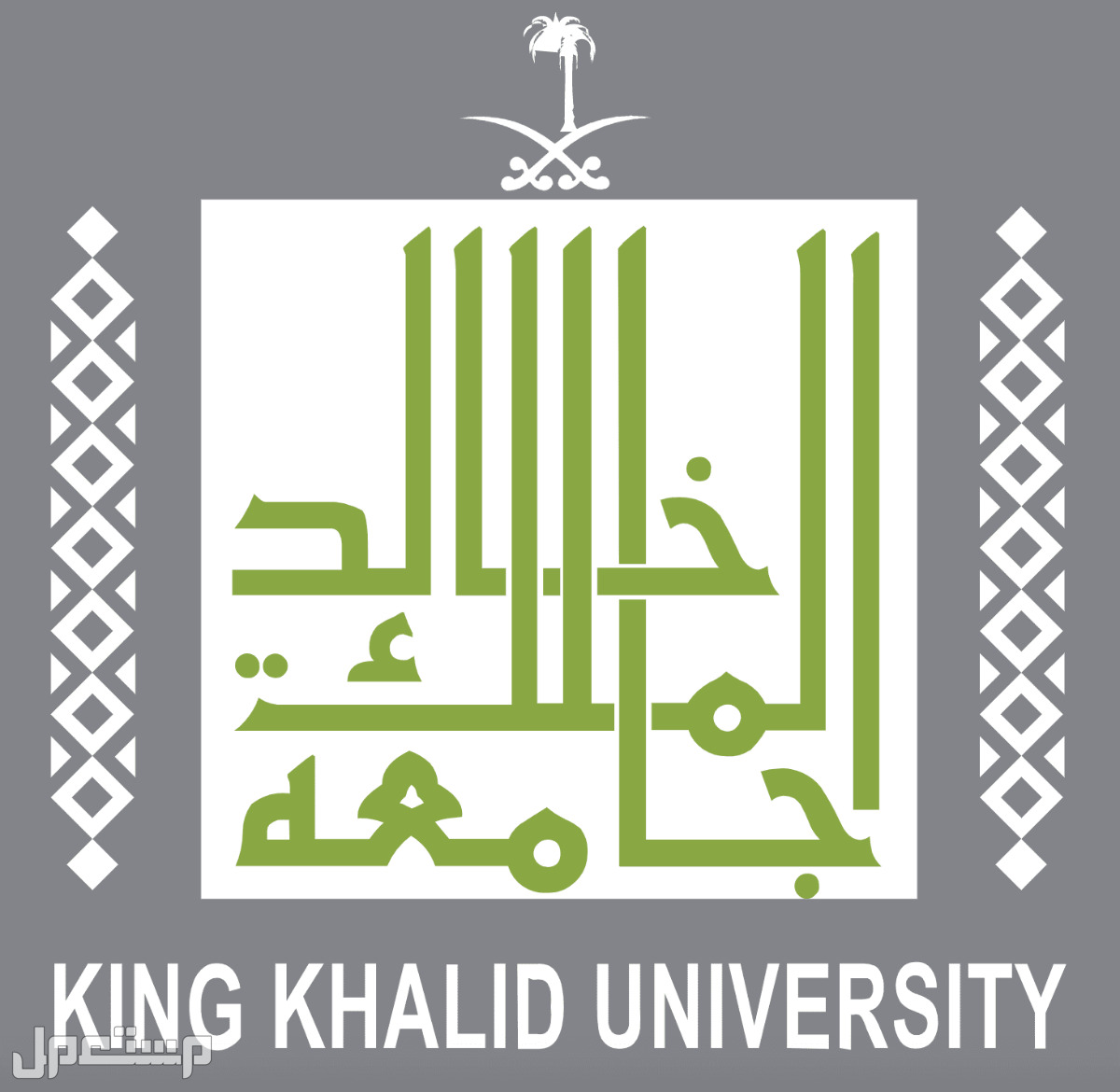 جامعة الملك خالد توضح سبب تعليق الدراسة الحضورية بجميع الكليات وتحويلها إلى البلاك بورد في تونس