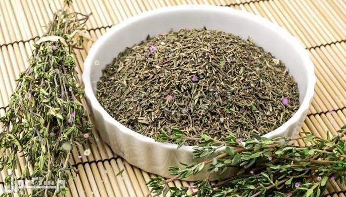 زيوت لتطويل الشعر في أسبوع نبات الزعتر البري