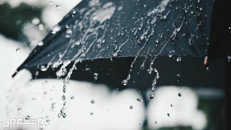 أفضل دعاء وقت نزول المطر في رمضان 1446 مكتوب دعاء سقوط المطر