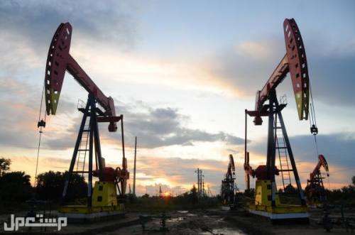 أسعار النفط الخام تصعد 5.5% براميل النفط الخام اليوم