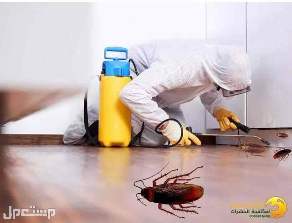 شركة عزل خزانات بجدة مكافحة جميع انواع الحشرات تنظيف كنب مجالس مفروشات بالبخار بجدة في جدة