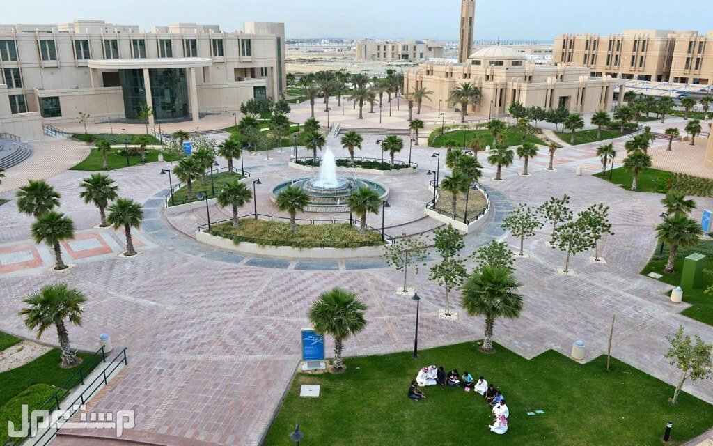 فعاليات الكليات الصحية بجامعة الامام عبدالرحمن بن فيصل جامعة الإمام عبدالرحمن بن فيصل