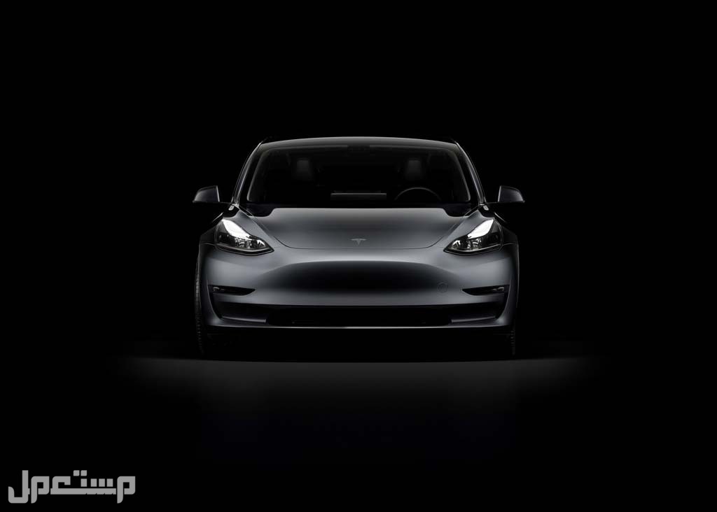 سيارة تسلا  Tesla Model 3 Performance AWD 2023 مواصفات وصور واسعار صورة سيارة تسلا  Tesla Model 3 2023