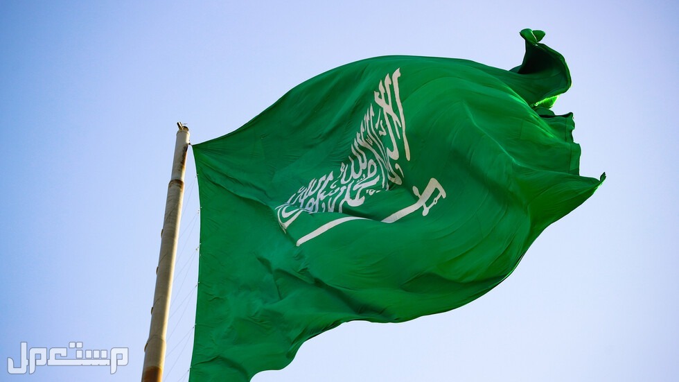 خطوات الحصول على التأشيرة الإلكترونية ومميزاتها في السعودية