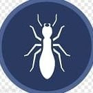 شركة رش مبيدات مكافحة الصراصير والنمل بالعلا شركة مكافحة الصراصير 0540349618