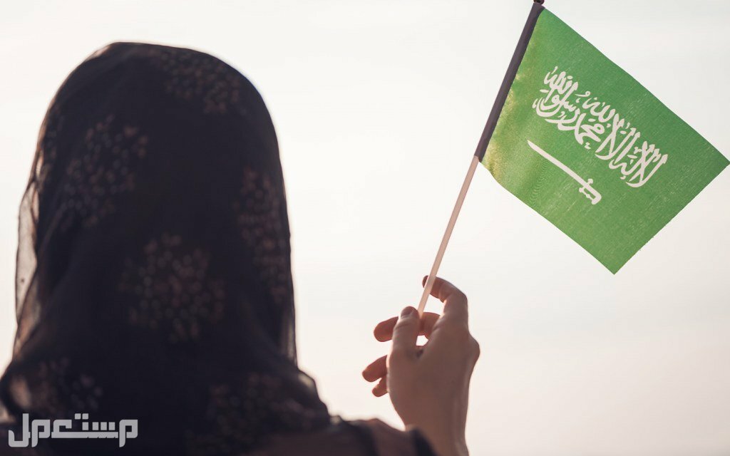 خطوات وطريقة طلب إصدار سجل الأسرة للأمهات عبر أبشر في السعودية إصدار سجل الأسرة للأمهات