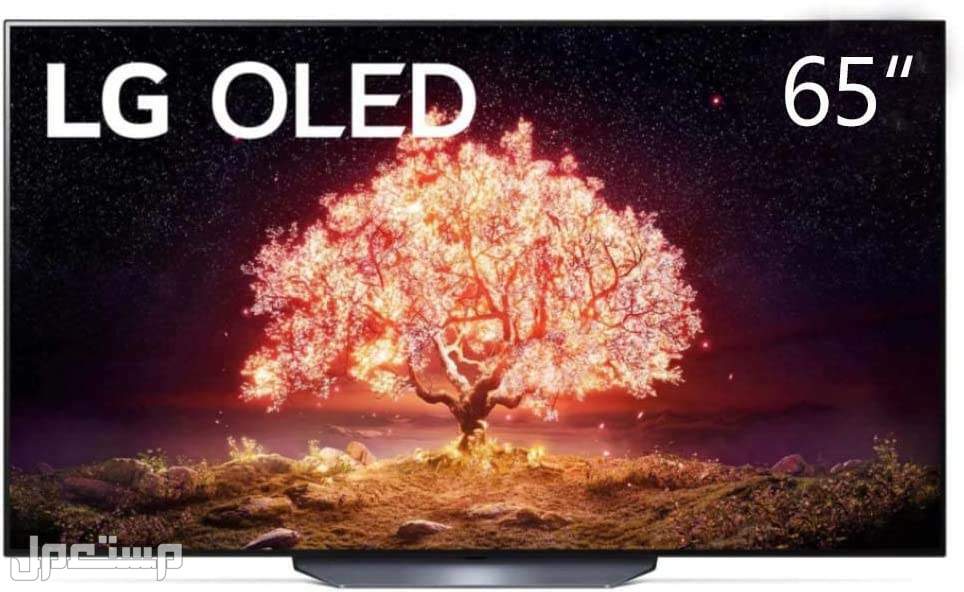 افضل انواع الشاشات سمارت بالمواصفات والصور والأسعار شاشات سمارت نوع LG